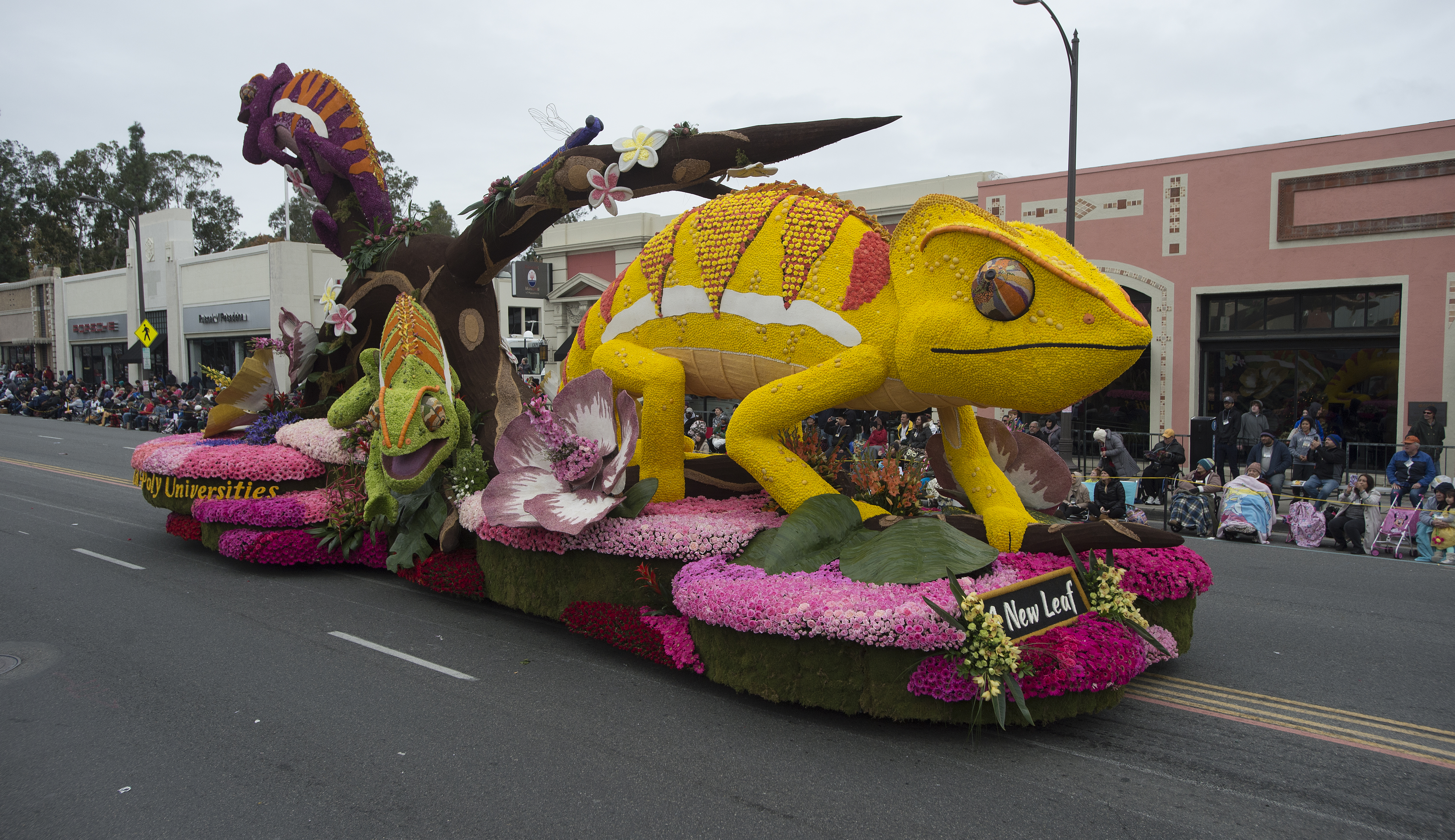 The Cal Poly Universities Rose Float, A New Leaf, makes its way down Colorado Blvd in  Pasadena during the 2017 Rose Parade January 2, 2017. Photo by Tom Zasadzinski, Cal Poly Pomona