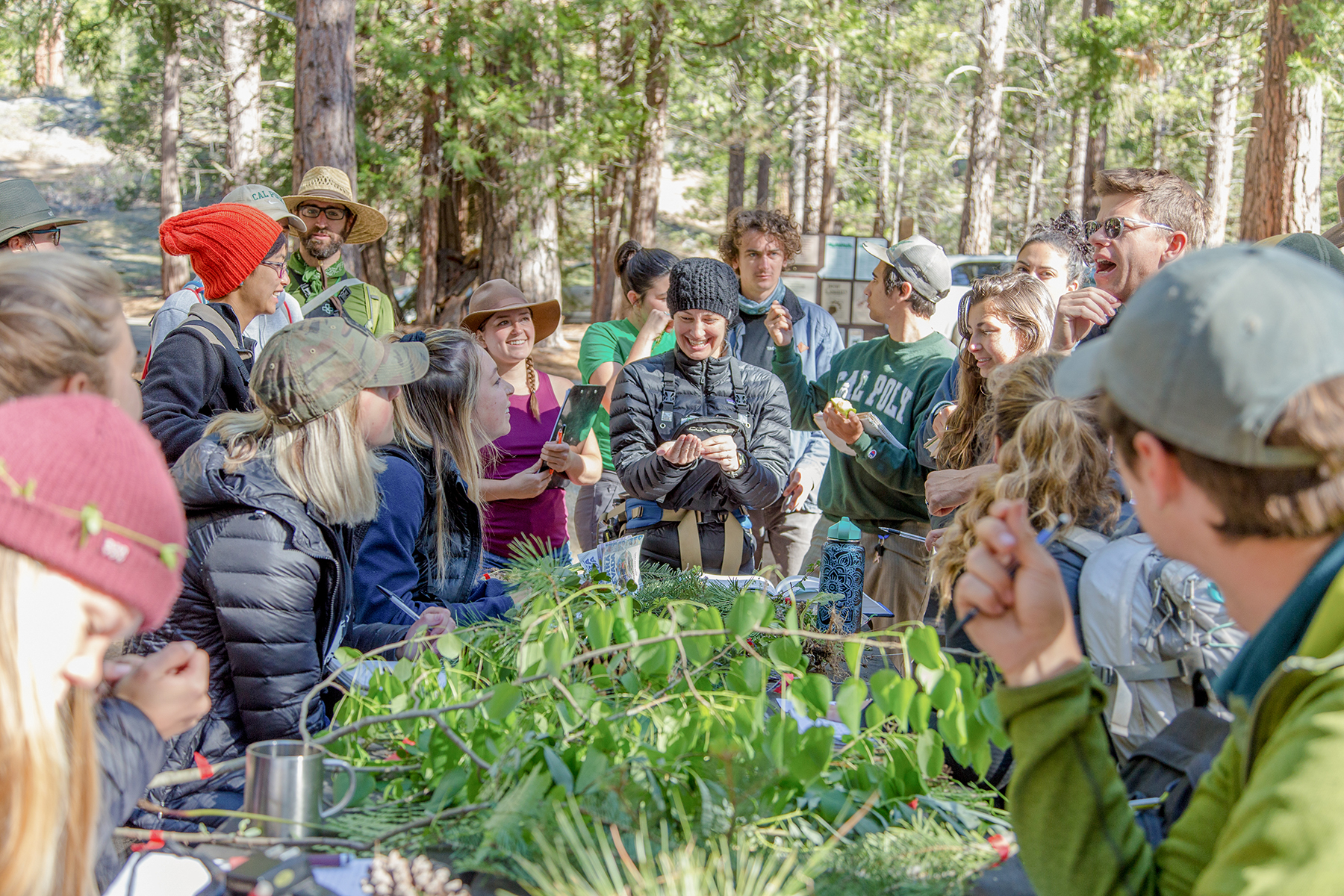 A professor showing a plant to a group of students on a field trip