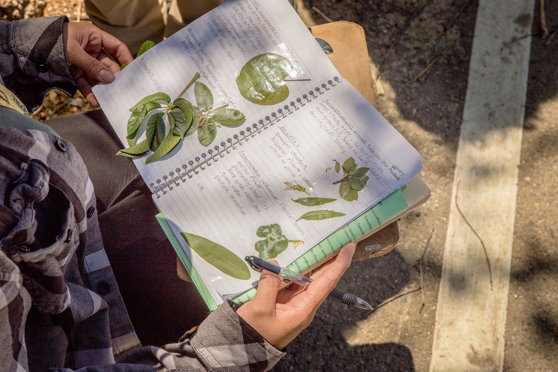 A professor showing a plant to a group of students on a field trip