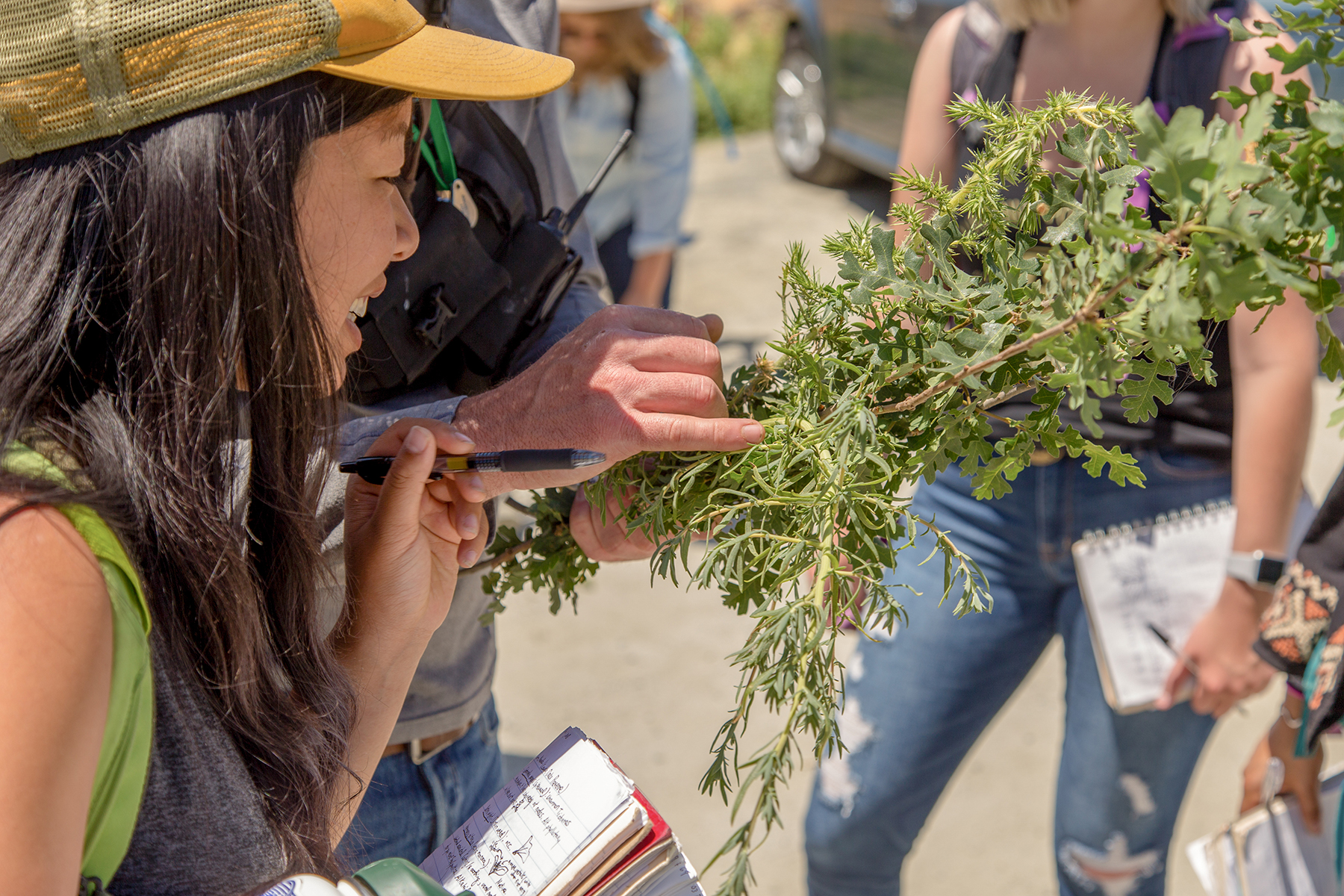 A professor showing a plant to a group of students on a field trip