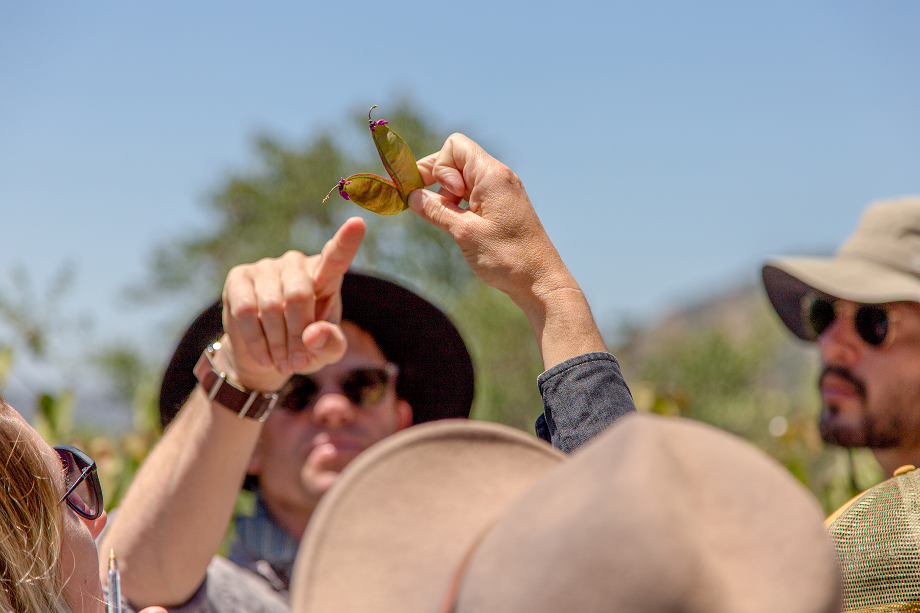 A professor showing a plant to a group of students on a field trip