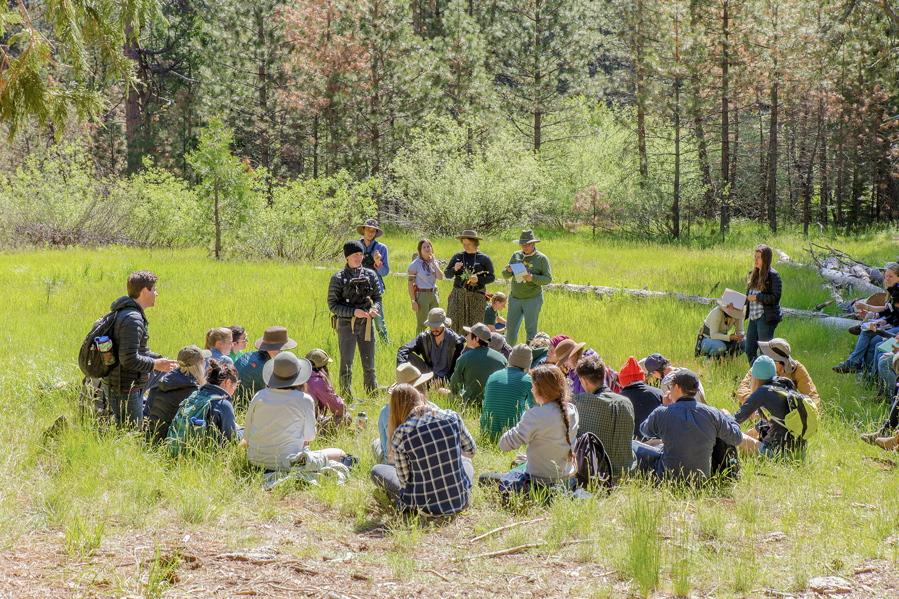 A professor showing a plant to a group of students on a field trip