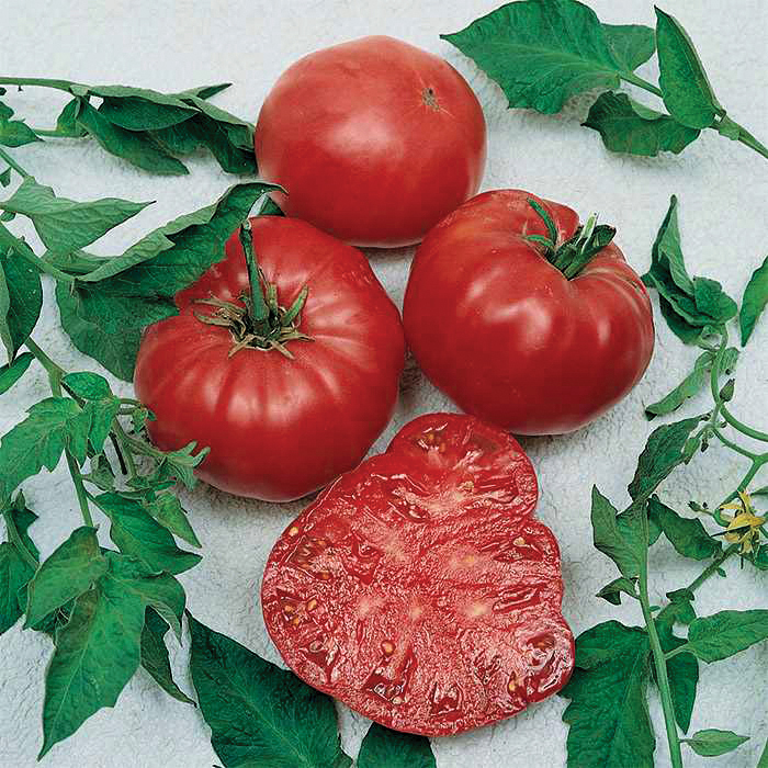 Three whole watermelon beefsteak tomatoes and one sliced in half.