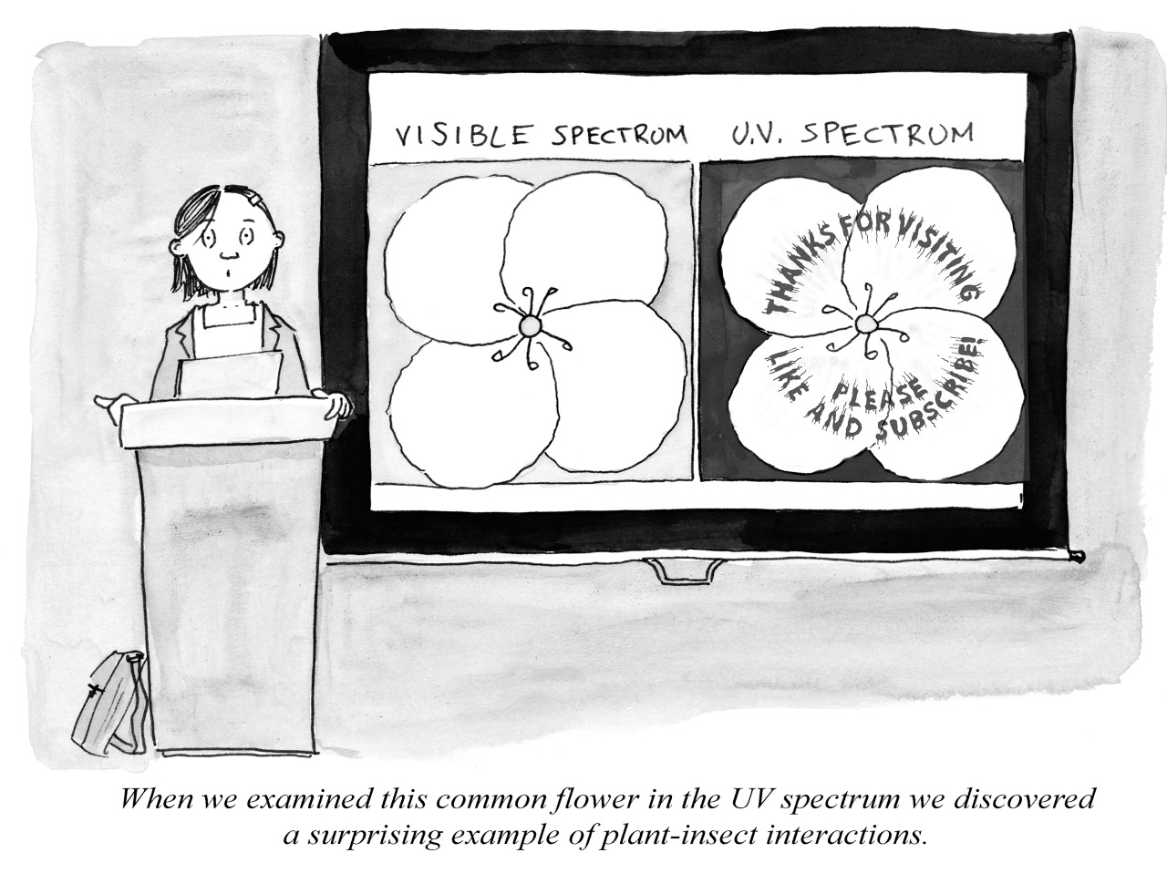 An illustration of a scientest speaking at a podium in front of a slide saying "visible spectrum, U.V. Spectrum." The illustration has the caption "When we examined this common flower in the UV spectrum we discovered a surprising example of plant-insect interactions."