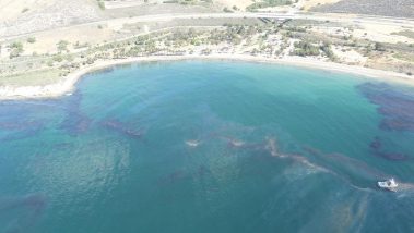 An aerial perspective of the Refugio oil spill near Santa Barbara, California.