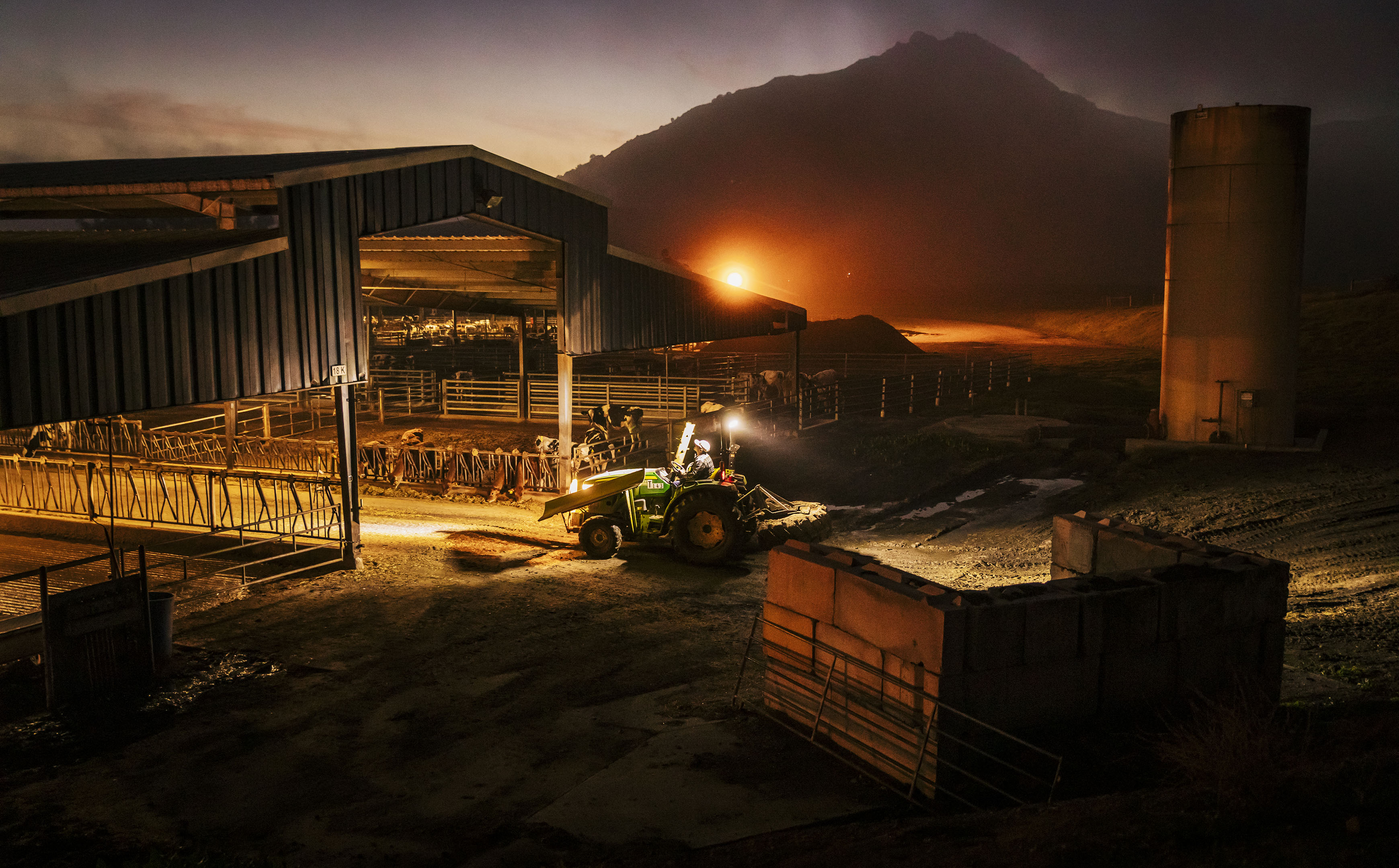 A tractor drives into a covered cattle pen before dawn as fog rolls in near Bishop Peak