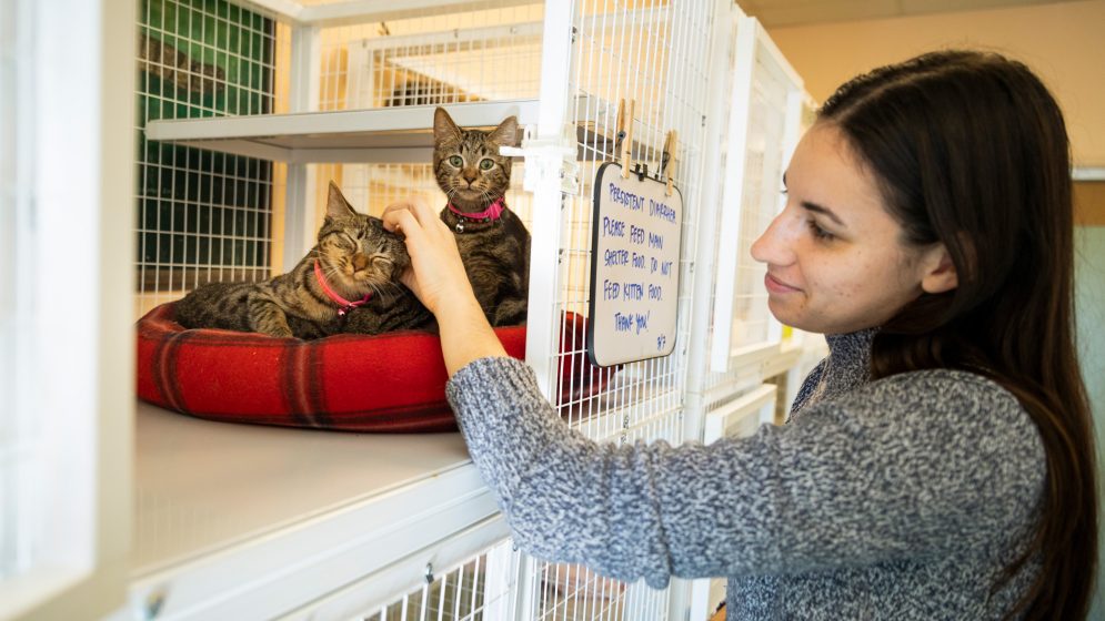 Not Kitten Around Cal Poly Magazine