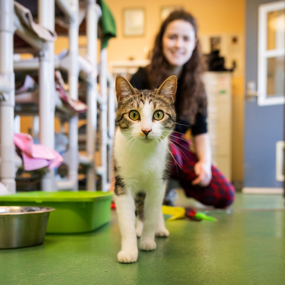 Not Kitten Around Cal Poly Magazine