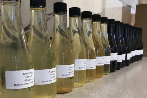 A row of small wine sample bottles, whites and reds