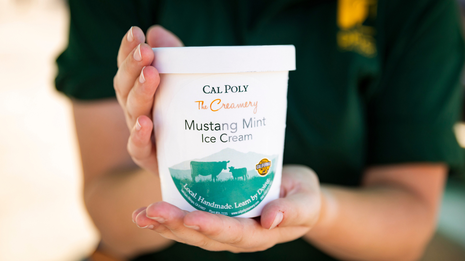 A person holds a pint of Cal Poly Mustang Mint Ice Cream