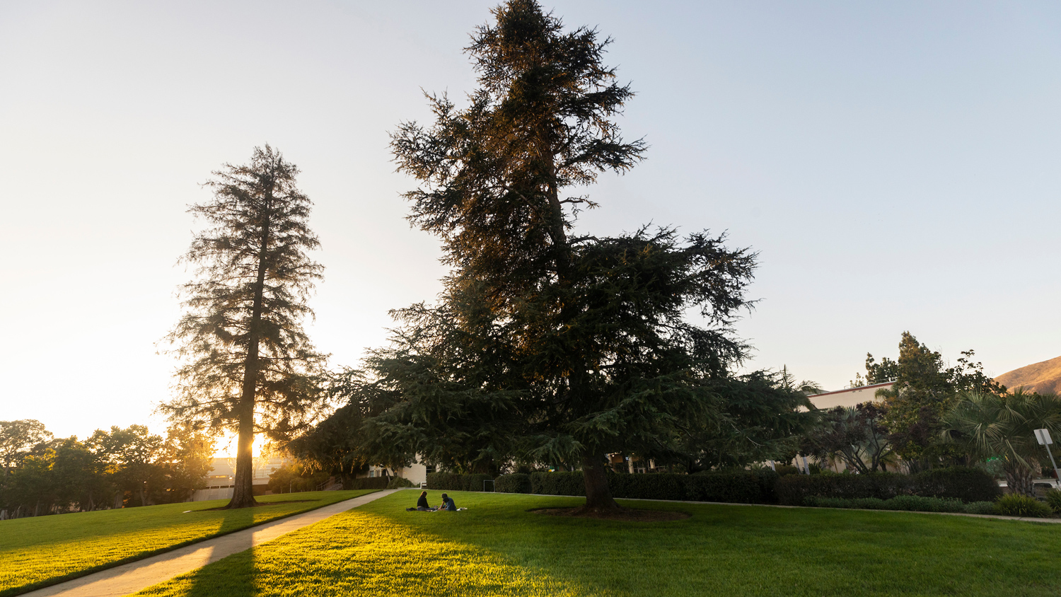 The sun sets over the trees on Dexter Lawn