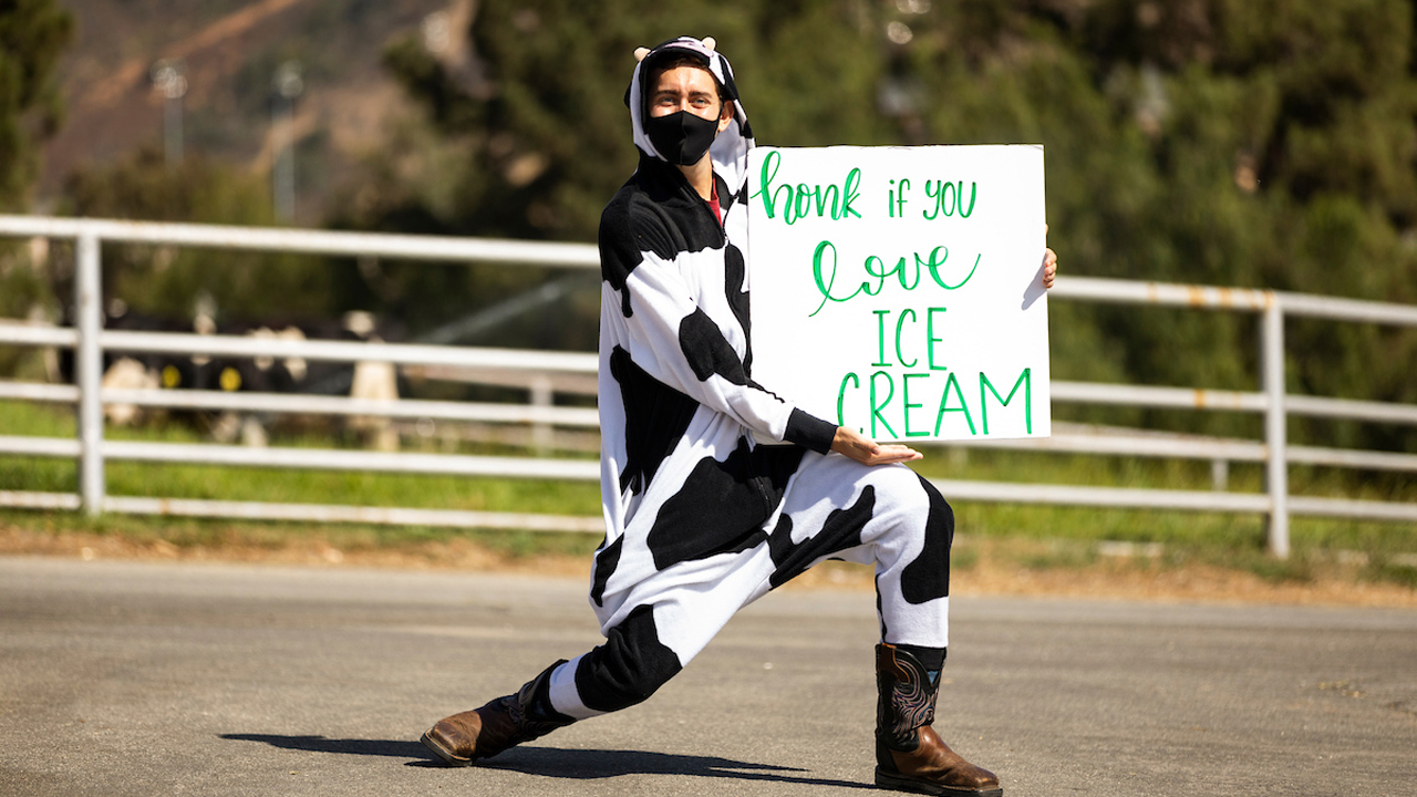 A student wearing a cow costume holds a sign that says 'honk if you love ice cream'