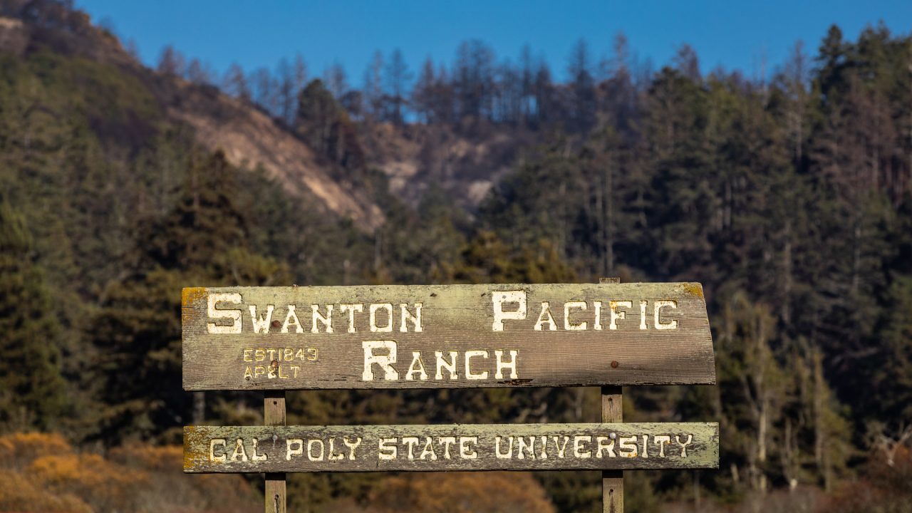 A wooden sign reading "Swanton Pacific Ranch - Cal Poly University" in front of a hillside of burned evergreen trees.
