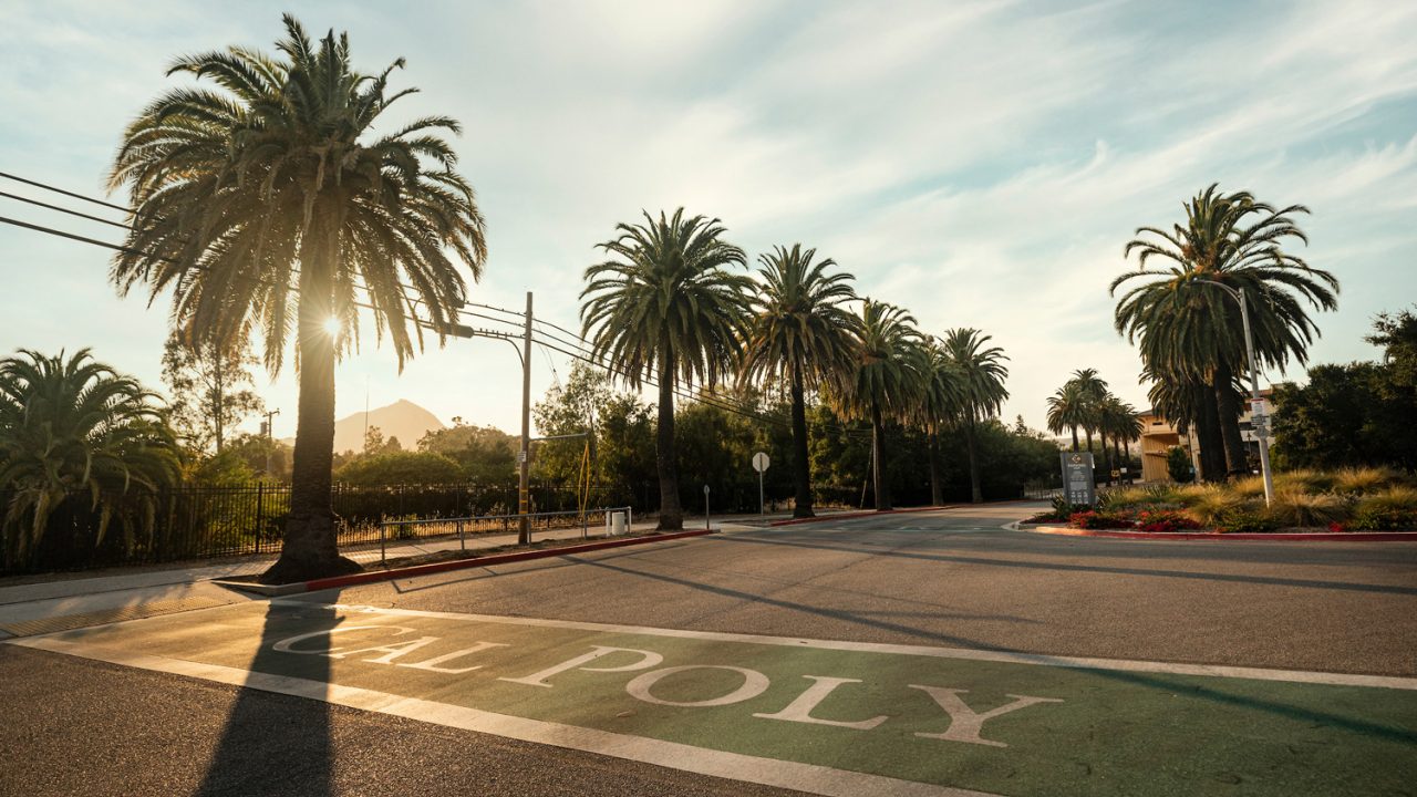 A campus intersection at sunset with the words Cal Poly painted in the crosswalks