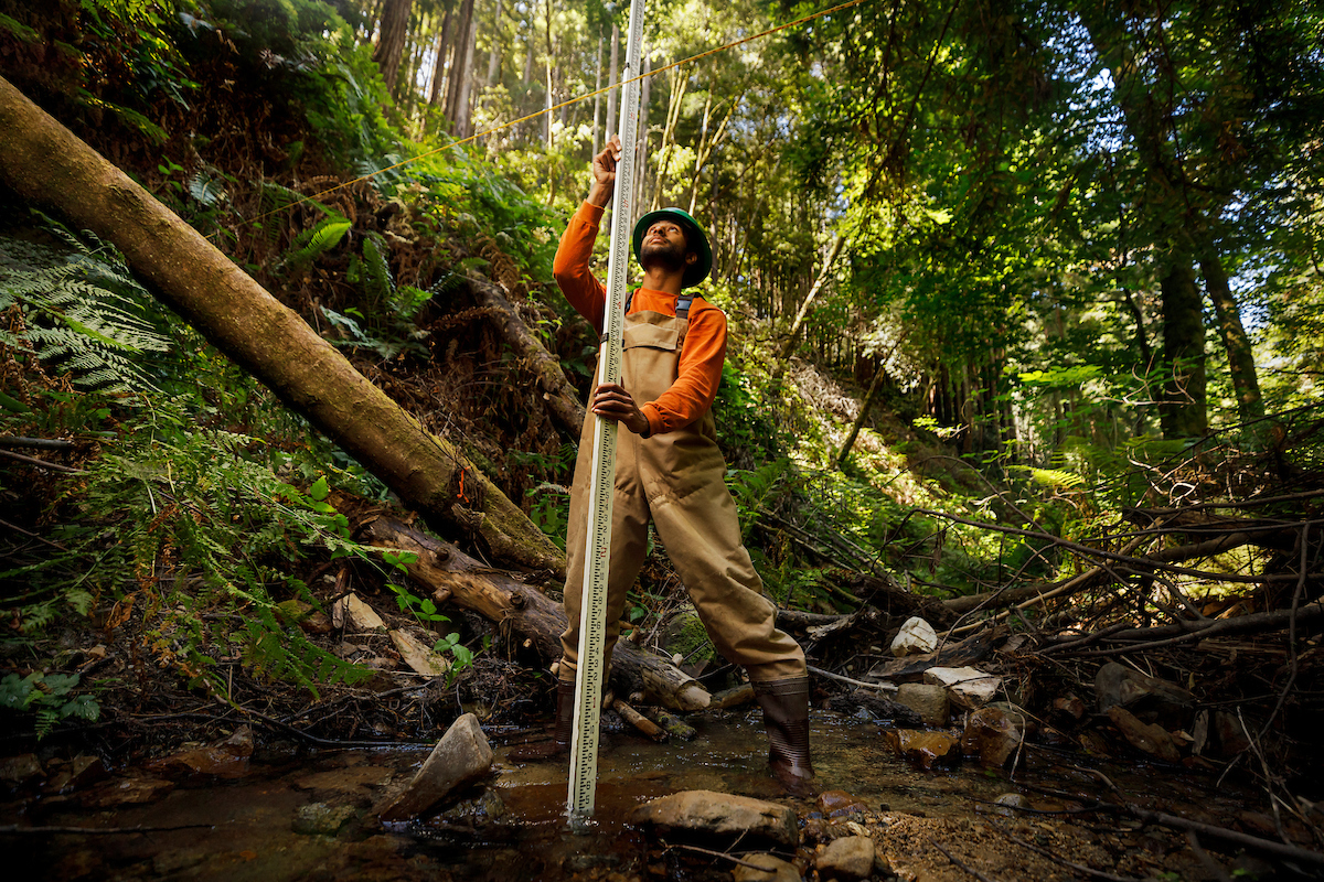 A young man in waders and a hardhat takes a measurement of the water level in a forest stream using a long ruler and a line suspended over the water