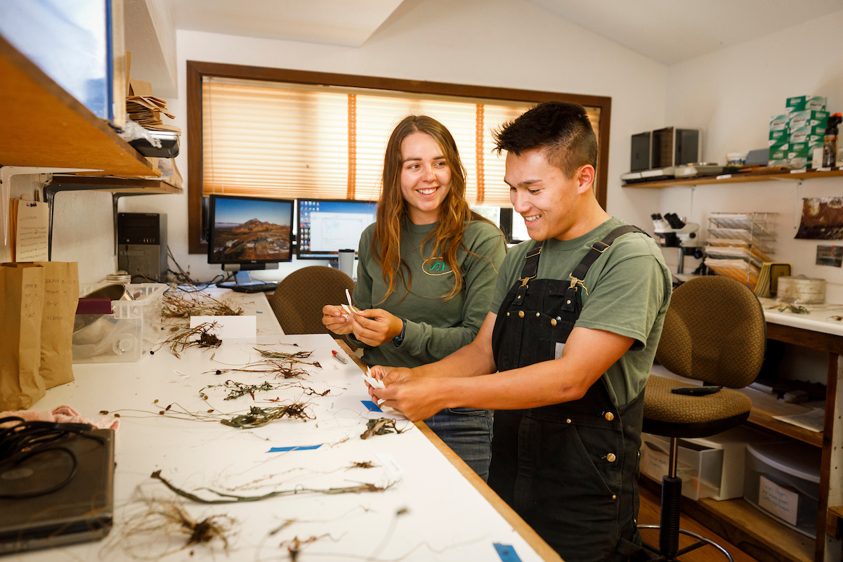 A young woman in a green shirt and a young man in overalls sort and tag plant samples at a workstation in a lab