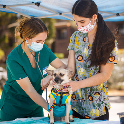 A Paw-sitive Learning Experience - Cal Poly Magazine