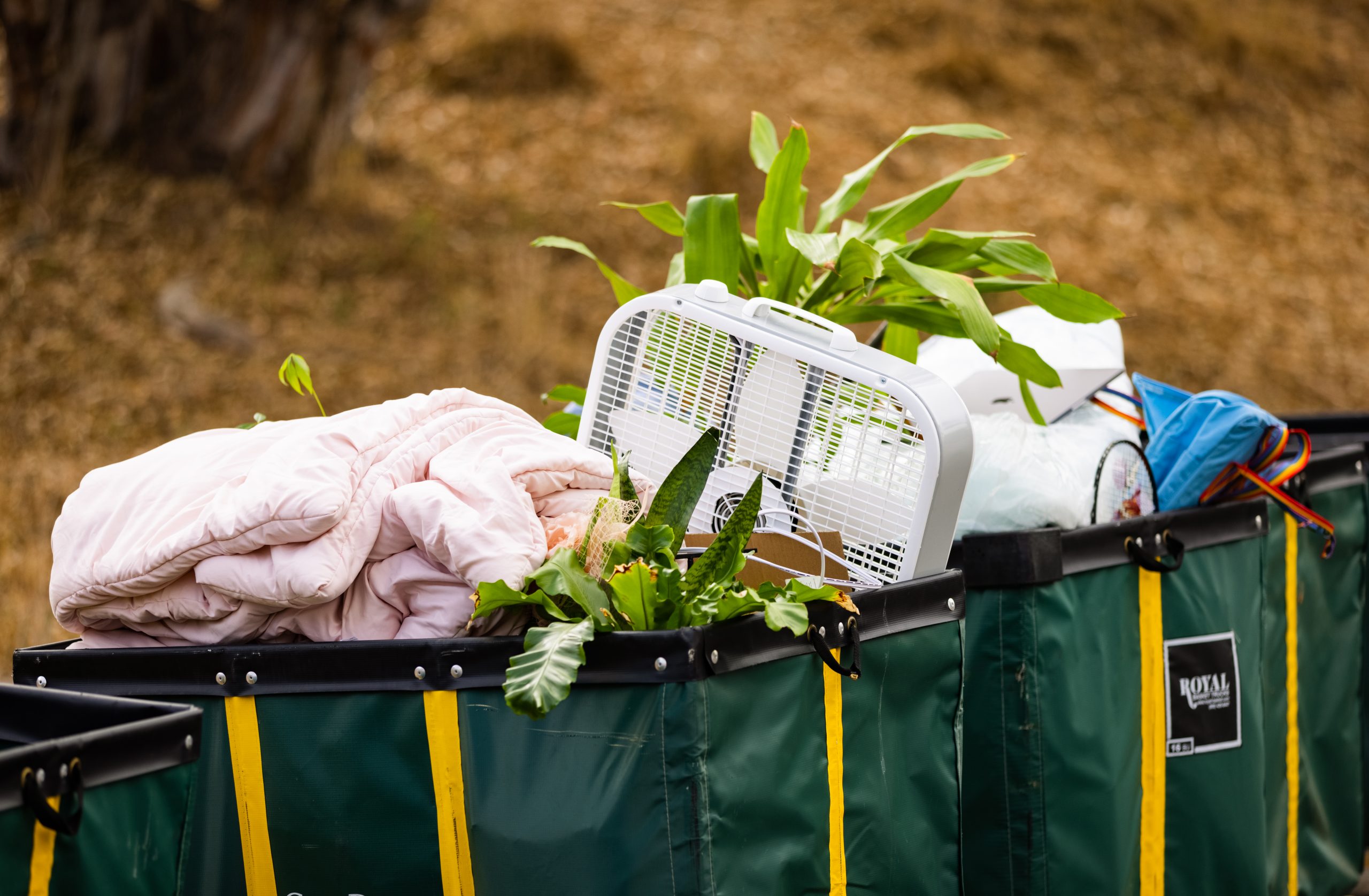 A pink blanket, a large box fan and several house plants are visible in a series of green and gold carts.