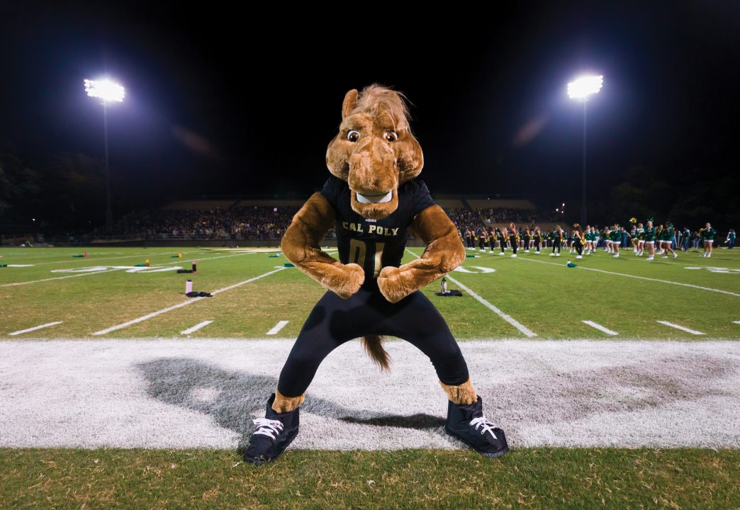 The Musty mascot flexes on the sidelines of a football field under stadium lights at night