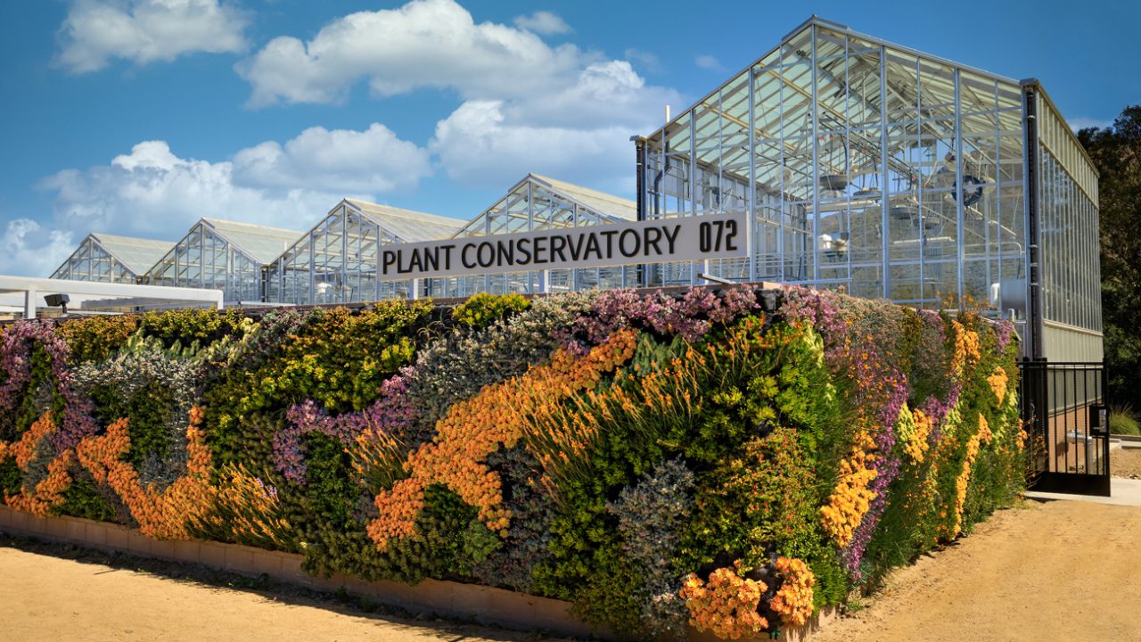 A living wall covered in plants stands in front of a very large glass greenhouse.