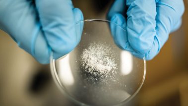 A powederd white substance on a clear plastic disc held by hands wearing blue gloves