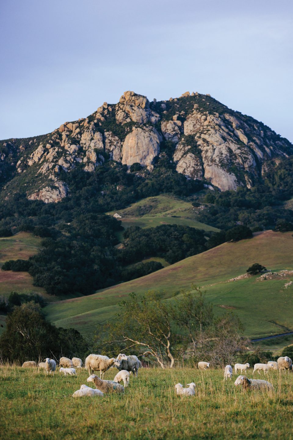 Bishop Peak