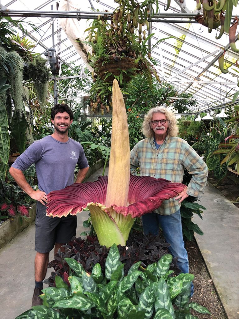 Cal Poly's conservatory curator and retired lecturer with corpse flower