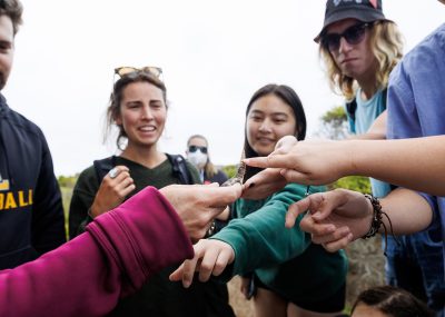 Professor Emily Taylor oversees students experience with rattlesnake