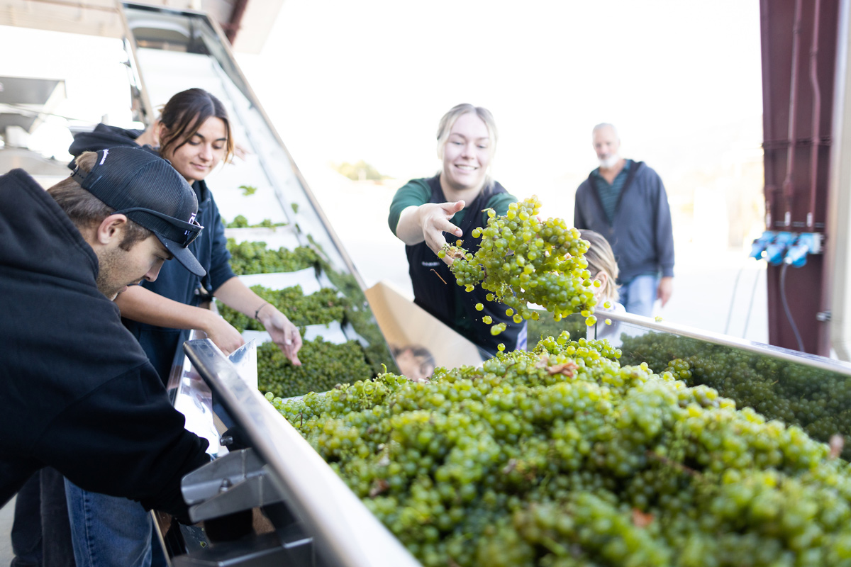 The Year in Photos Cal Poly Magazine