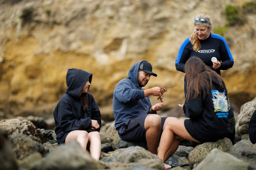 Three students and a faculty member wearing a wetsuit examine wildlife on rocks near the beach