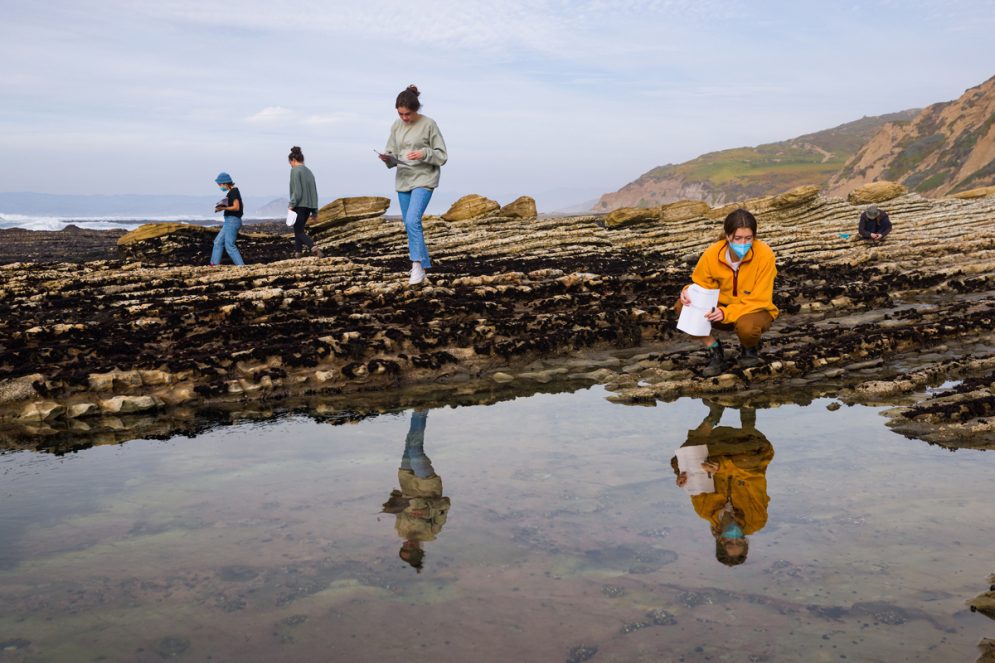 Students with note pads stand on rocks near tide pools with examining sea life