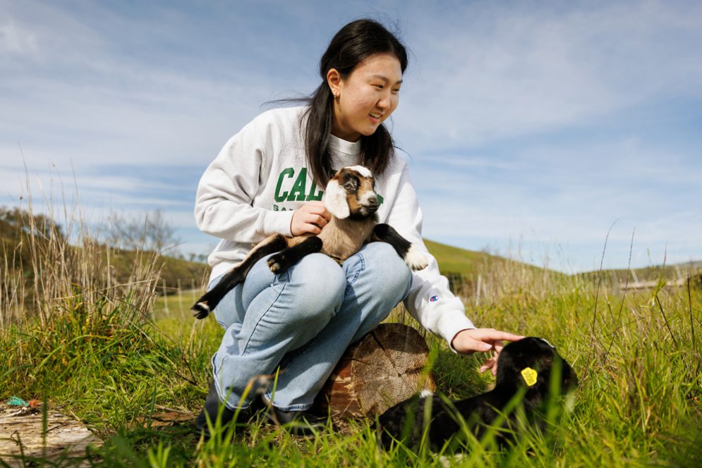 A student holds a baby goat and pets another goat in the grass