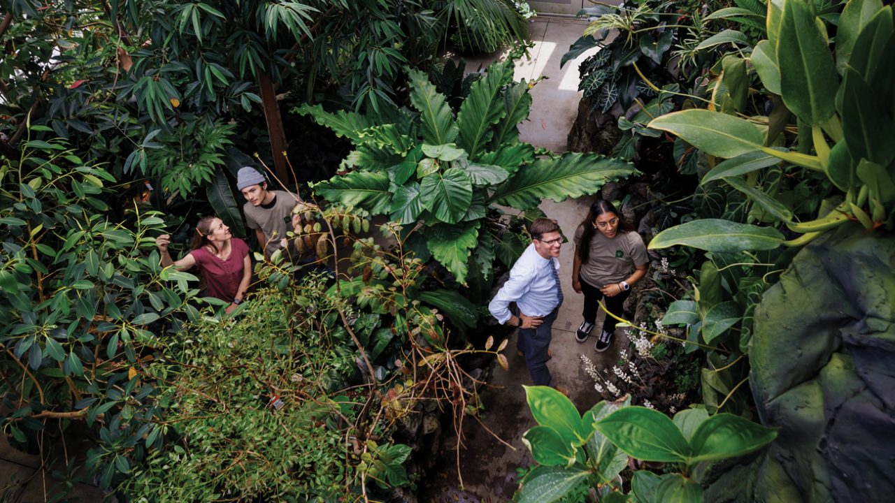 Students and faculty analyze plants in the tropics greenhouse of the Cal Poly Plant Conservatory