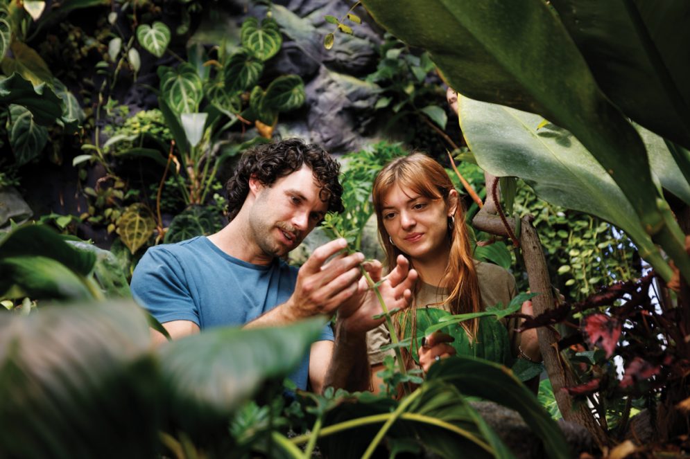 A staff member and a student analyze a plant growing in the Cal Poly Plant Conservatory.