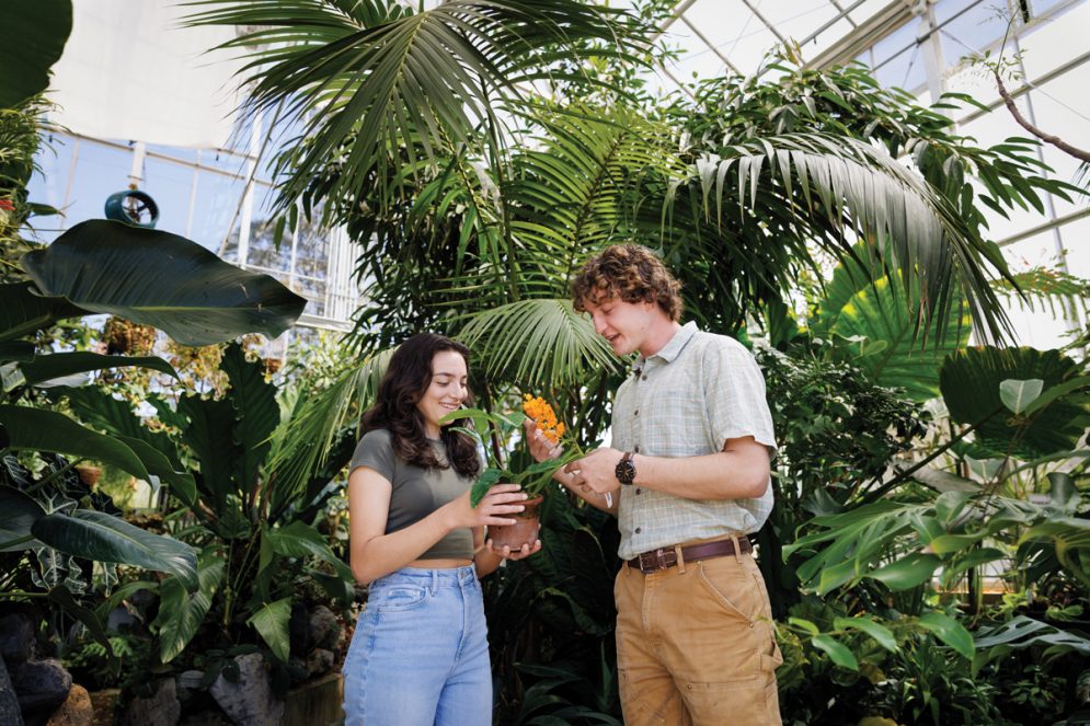 Two students analyze a plant in a greenhouse with tall tropical plants and trees