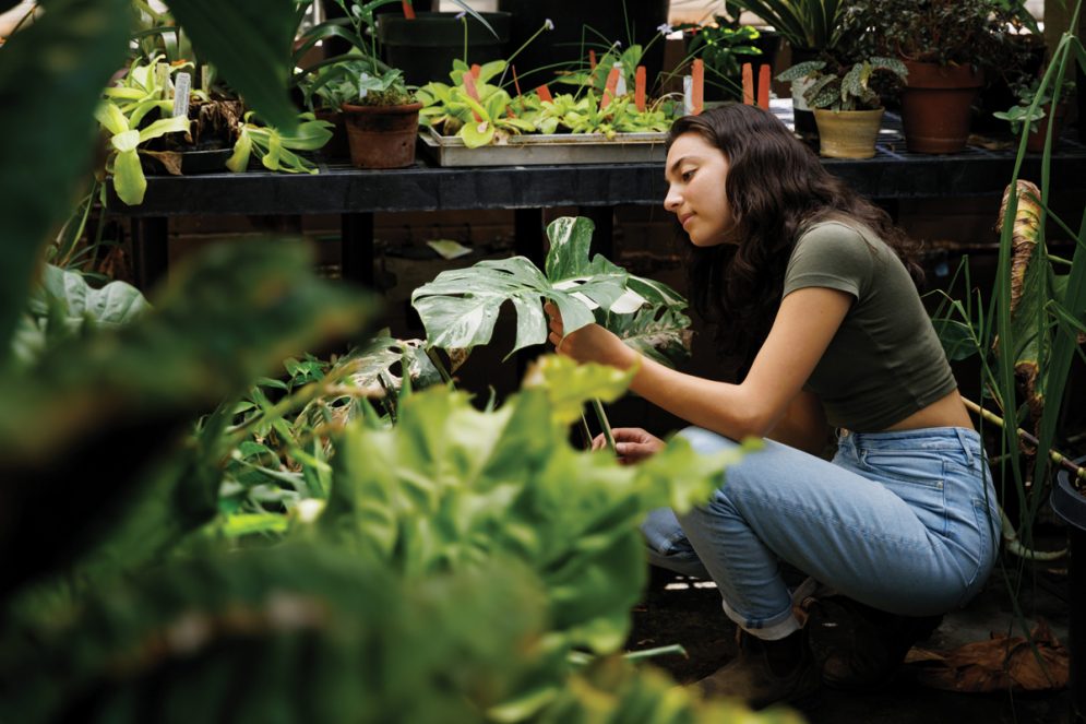 A student bends down to look at the leaf of a plant in a tropic greenhouse.