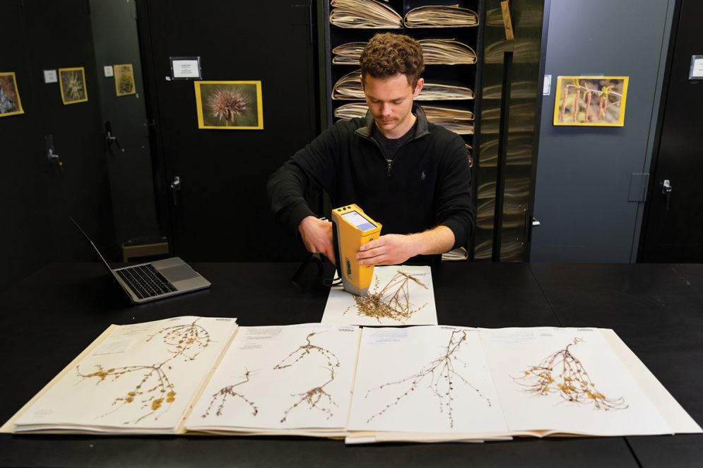 A Cal Poly biology student uses a tool to scan dried flowers pressed in large books