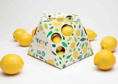 A prototype of packaging for lemons