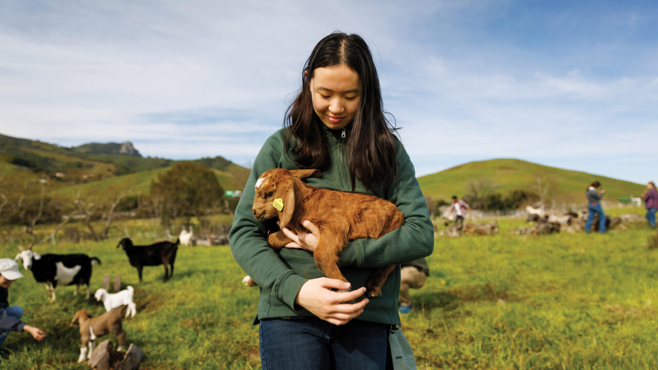 An animal science student holds a brown baby goat in their arms