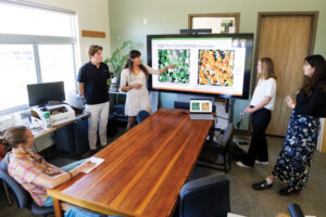 Four students give a presentation with images of foliage as a person watches from a conference room table