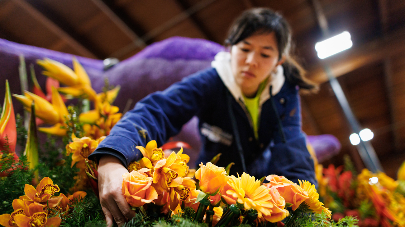 An alumna adds fresh orange flowers to the Cal Poly rose float