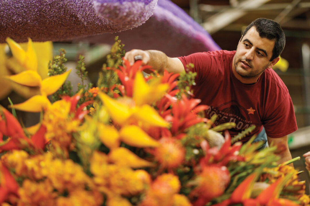 An alumnus decorates a Rose Parade float with fresh flowers