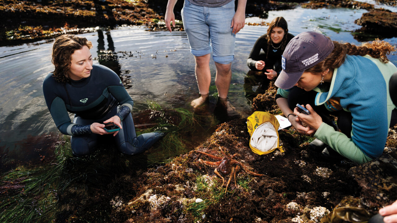 Four students look at an octopus near a tide pool