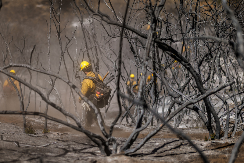 Firefighters in yellow jackets and helmets work near burnt brush on a steep hillside