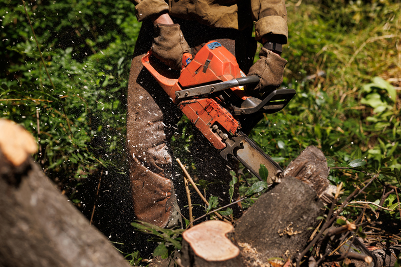 A chainsaw cutting through wood in the hands of a firefighter