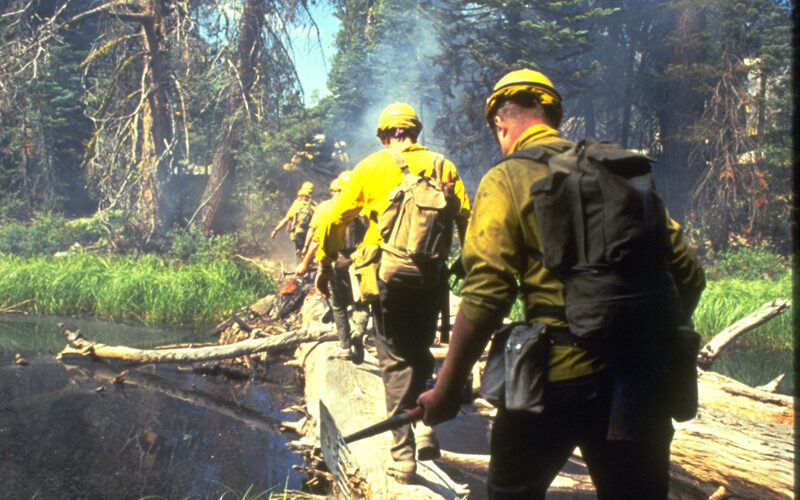 Firefighters hold tools and backpacks as they cross a stream on a log in a forest.