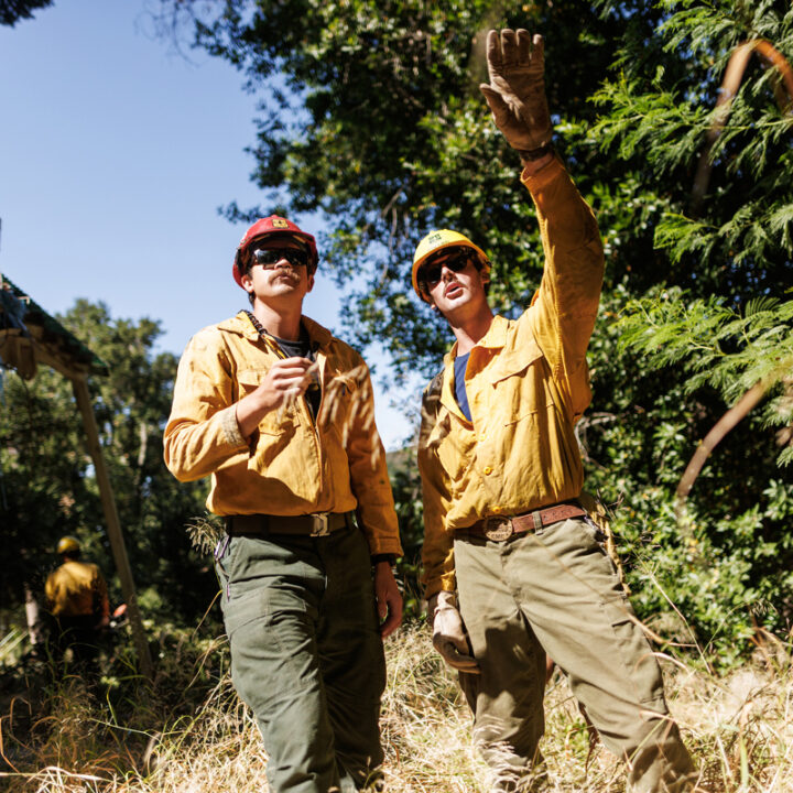 Two firefighters wearing helmets and sunglasses talk while standing in brush near trees