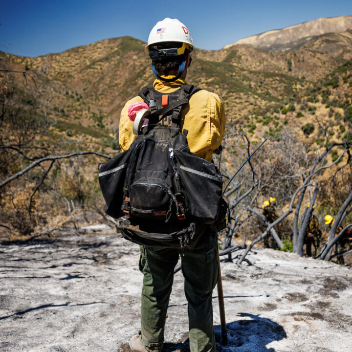 A firefighter wearing a black backpack stands on a hilltop supervising a crew of firefighters working in a burn scar