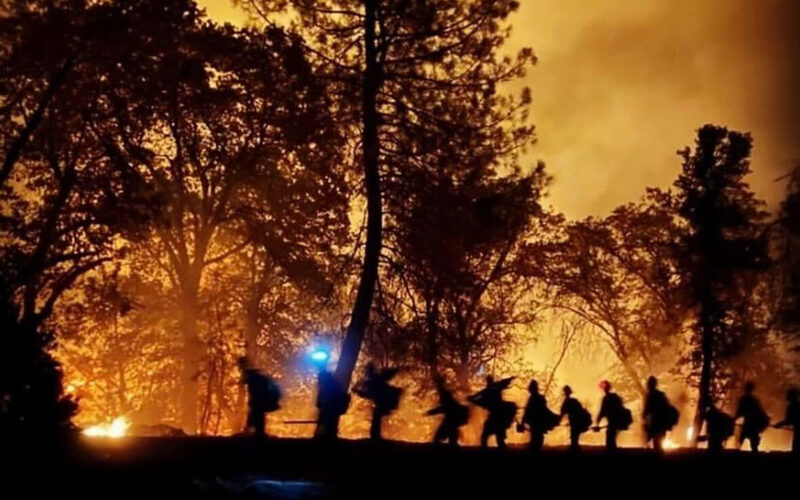 A team of firefighters stand in a line near tall trees while being silhouetted by the glow of a wildfire.