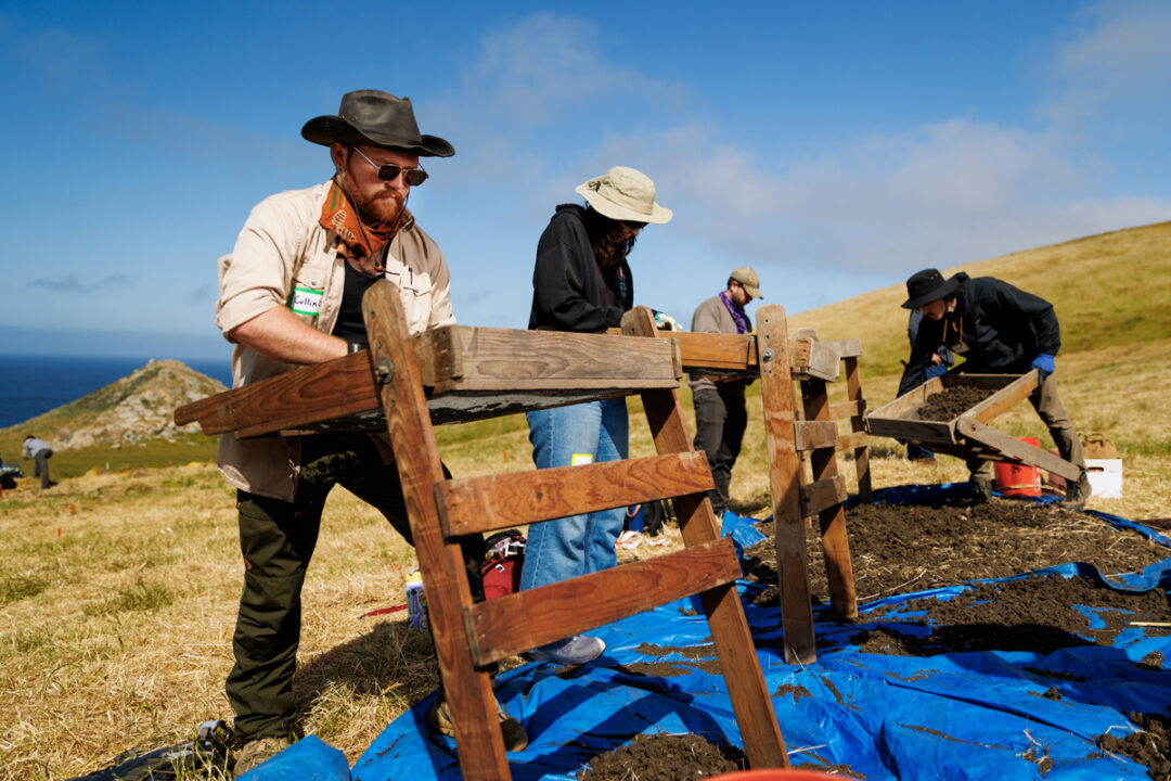 Four student archaeologists using shaker screens over a blue tarp on a hillside near the Pacific Ocean